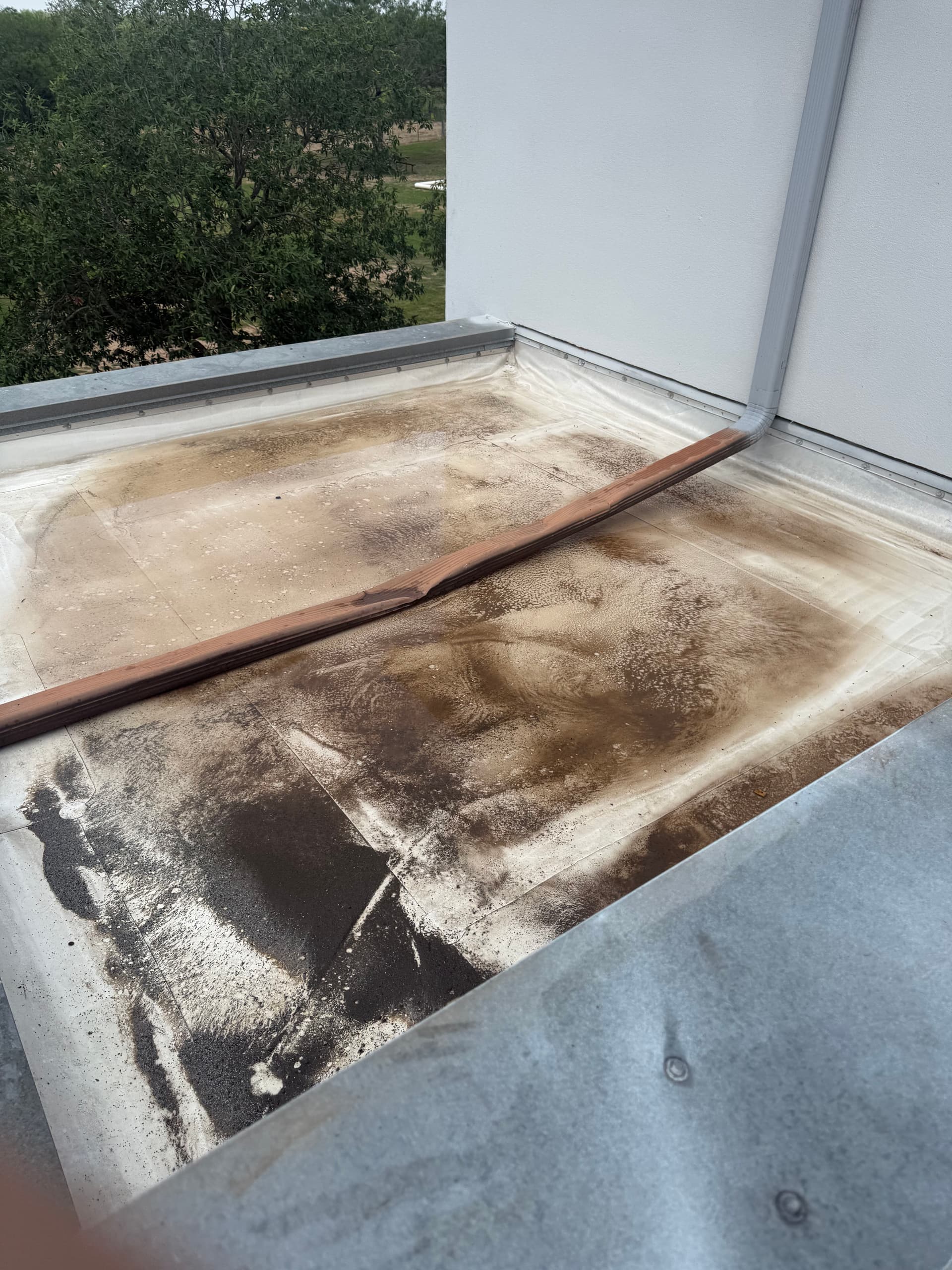 TPO Flat Roof Coating Restoration Done Right image