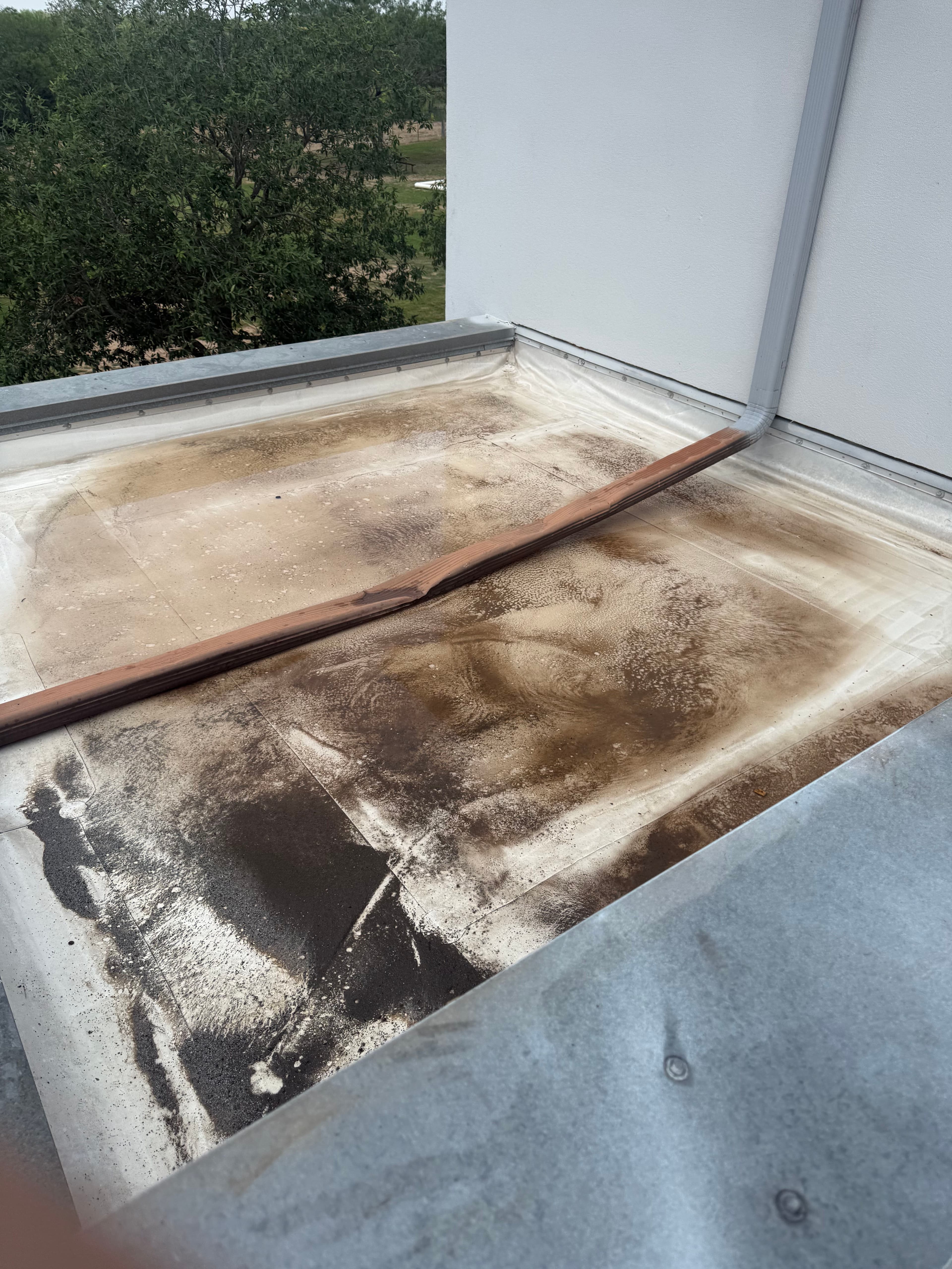 Project TPO Flat Roof Coating Restoration Done Right image