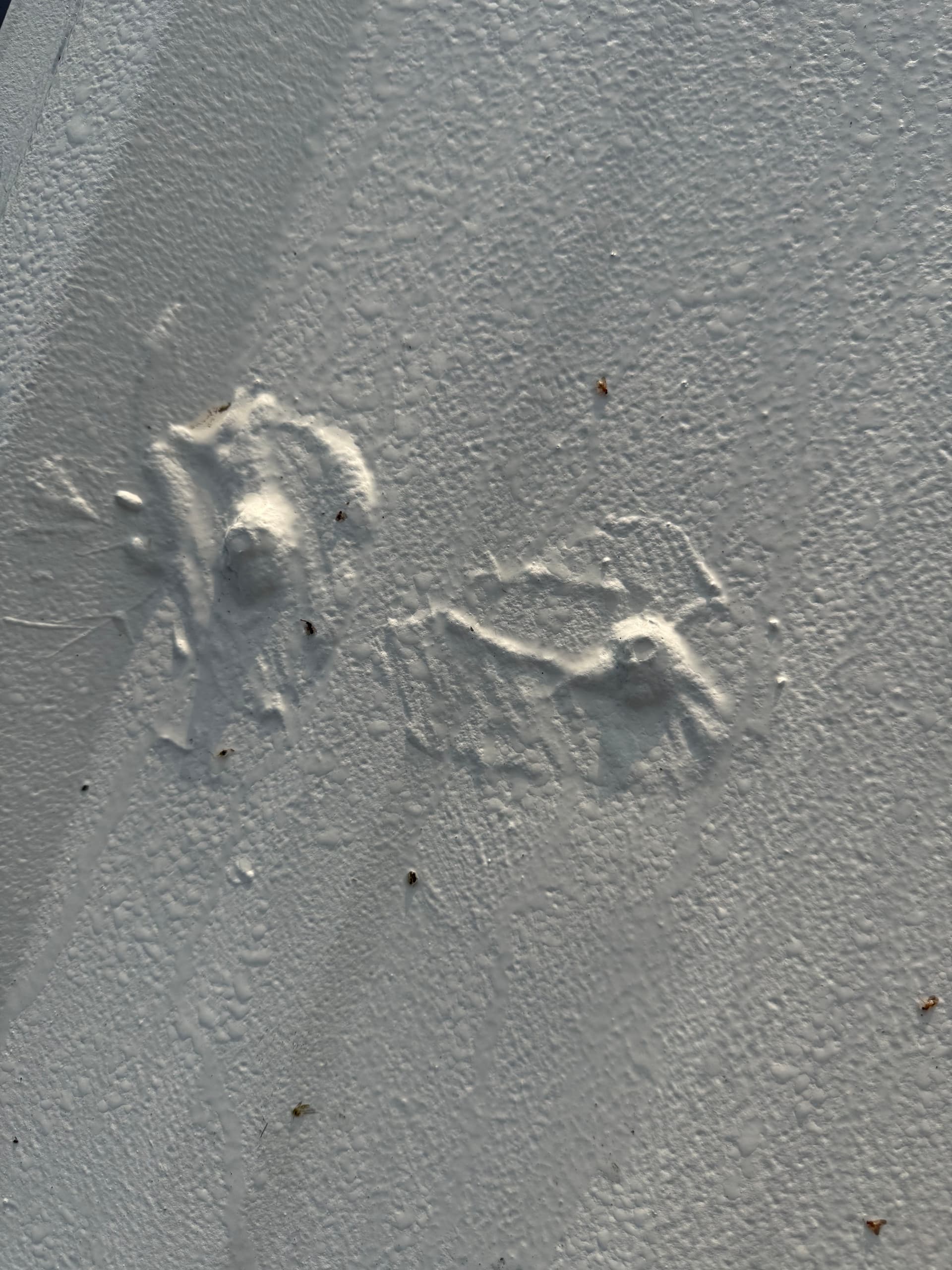 Gallery photos for Commercial Metal Roof Restoration That Saves You From Full Replacement: Image #4