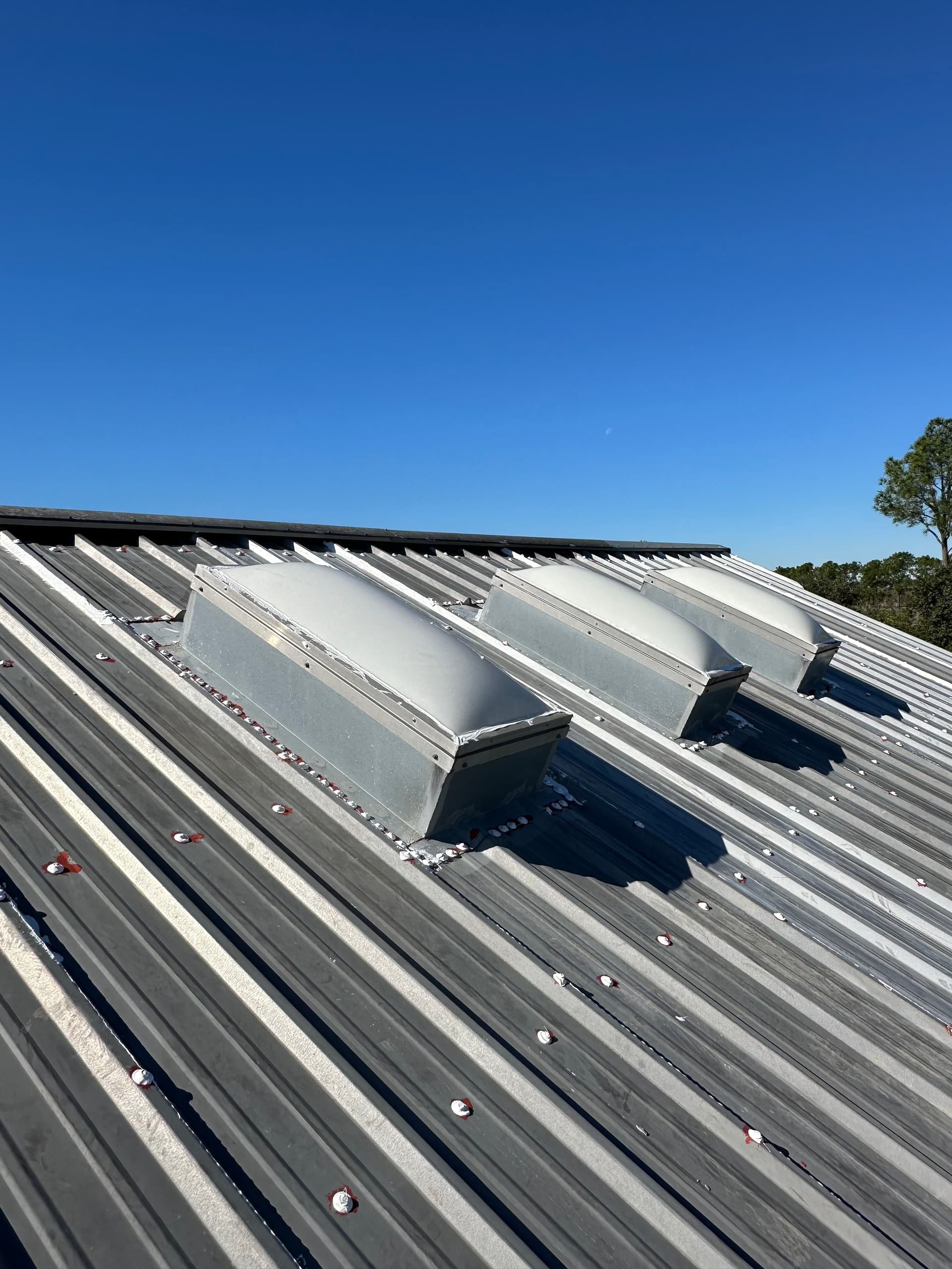 Gallery photos for Metal Roof Maintenance with Seam Sealing and Skylight Care: Image #7